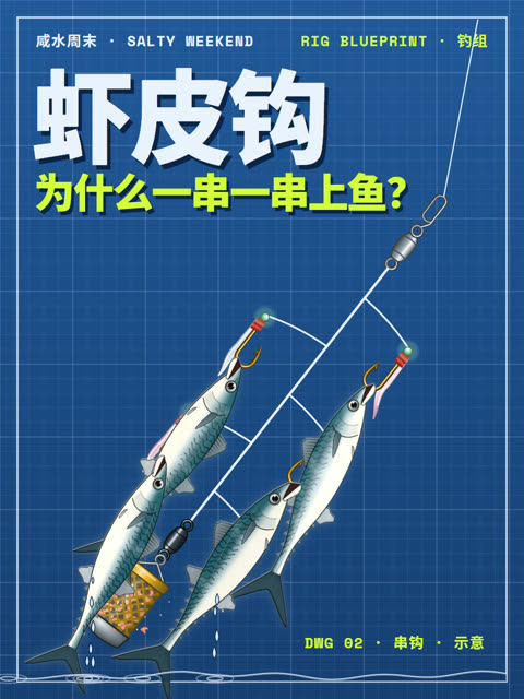 虾皮钩为什么一串一串上鱼？