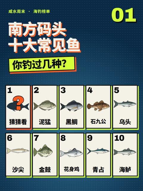南方码头十大常见鱼，你钓过几种？