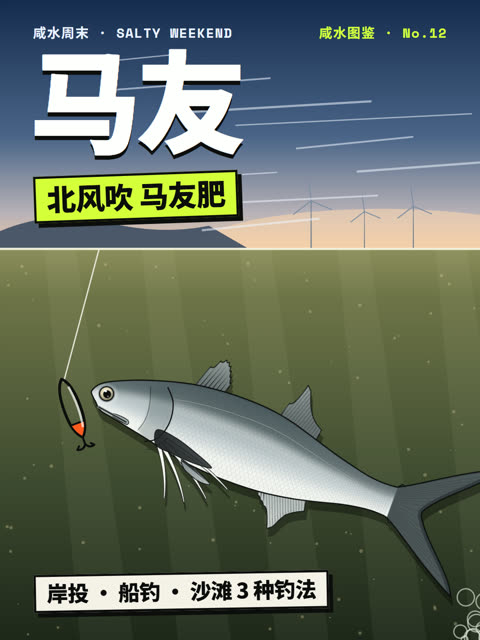 北风一吹马友就来，怎么钓才不空军？ 封面