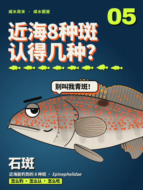 石斑鱼种类：近海8种，钓上来认得出吗？